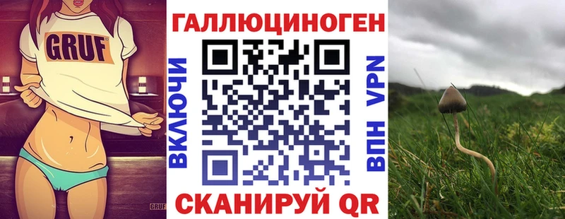 Псилоцибиновые грибы Magic Shrooms  kraken   Ардон 
